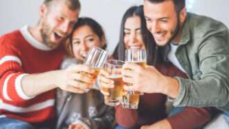 Friends enjoying a drink together | Photo 161711905 © Alessandro Biascioli | Dreamstime.com