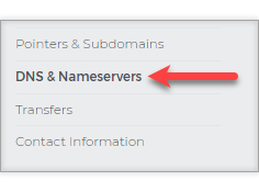 Click DNS & Nameservers