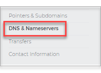 Click DNS & Nameservers